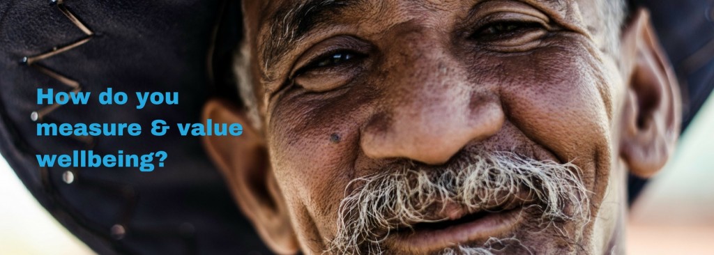 Spotlight on Wellbeing: How do you measure and value wellbeing?