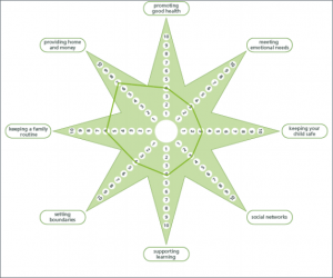 outcomes star social impact measurement SIMNA NSW
